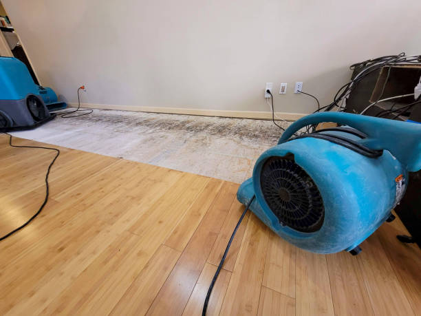 Professional Structural Drying technician working in Inglewood, CA